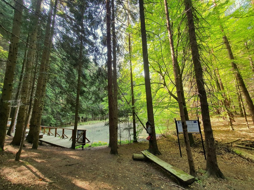 (fot. Artur Królikowski)