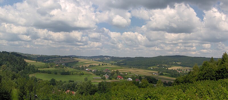 GWOŹDZIEC (fot. Waldi 11/Wikipedia)