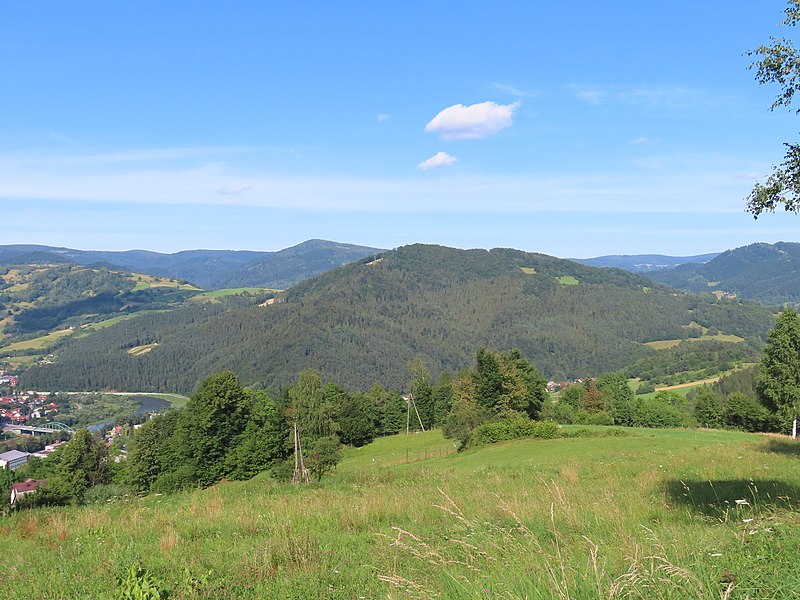 (fot. Fallaner/Wikipedia)