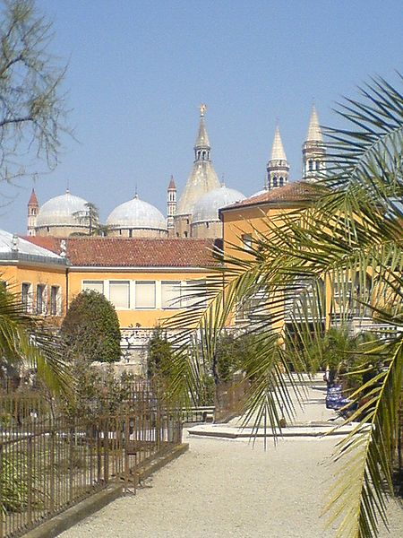 Ogród botaniczny Uniwersytetu Padewskiego (fot.Wikipedia)