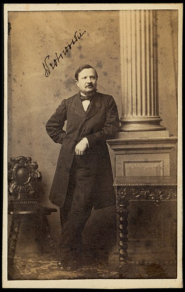 (fot. Karol Bayer/Wikipedia)