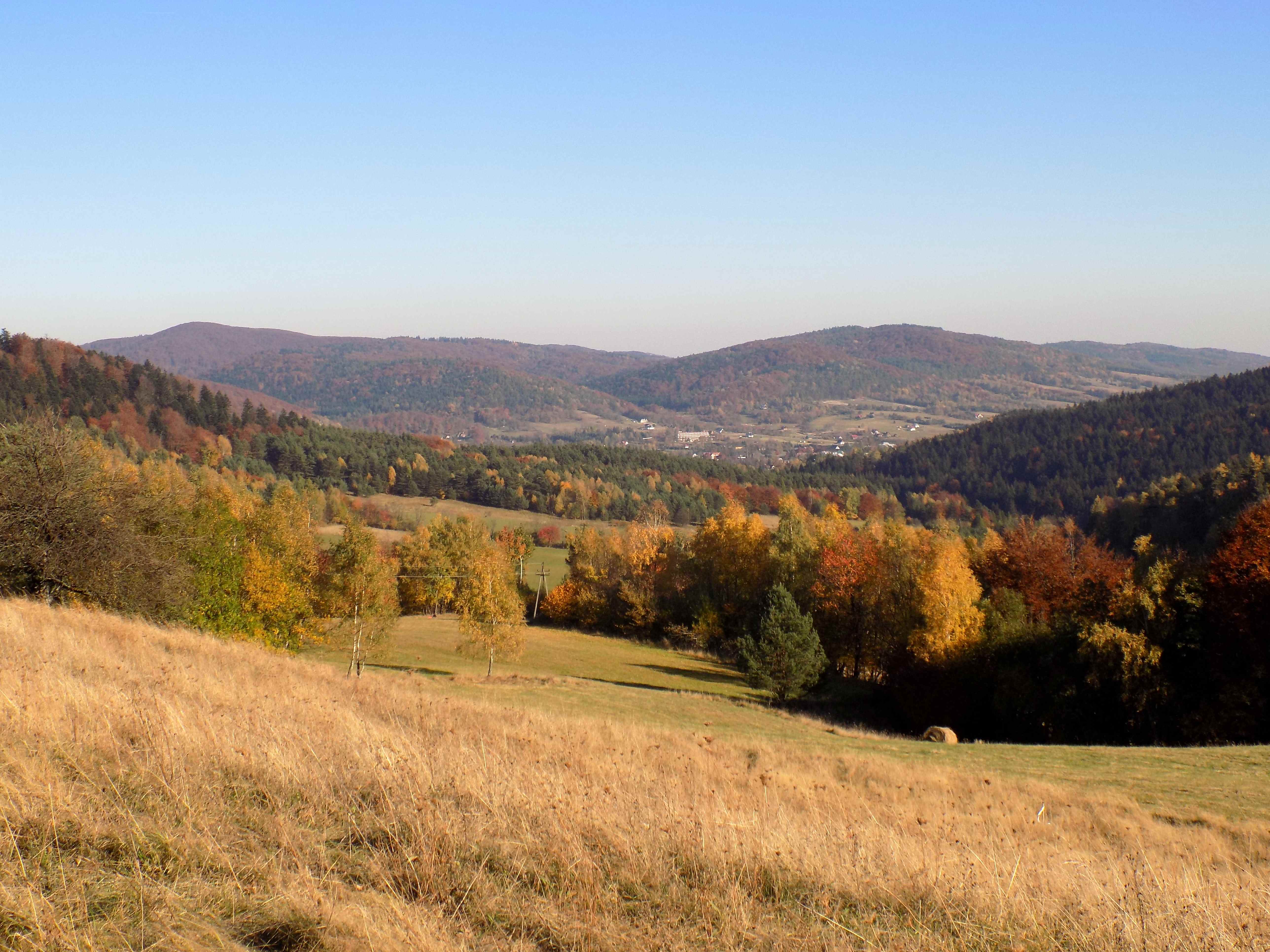 Panorama z Przełęczy Hutniańskiej (645 m) w kierunku Wysowej-Zdroju.  (fot.A.Piecuch)