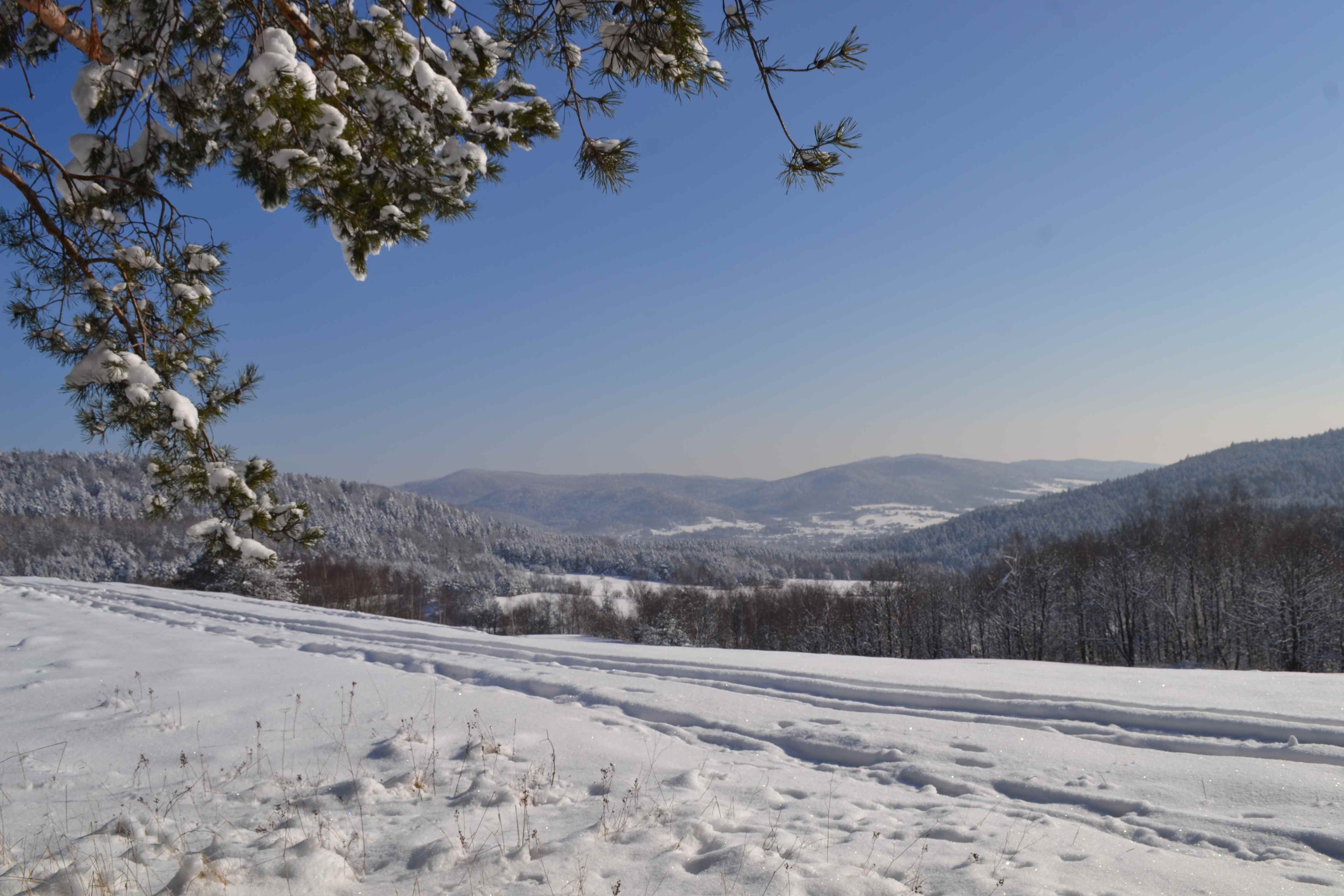 Panorama z Przełęczy Hutniańskiej (645 m) w kierunku Wysowej-Zdroju. (fot.A.Piecuch)