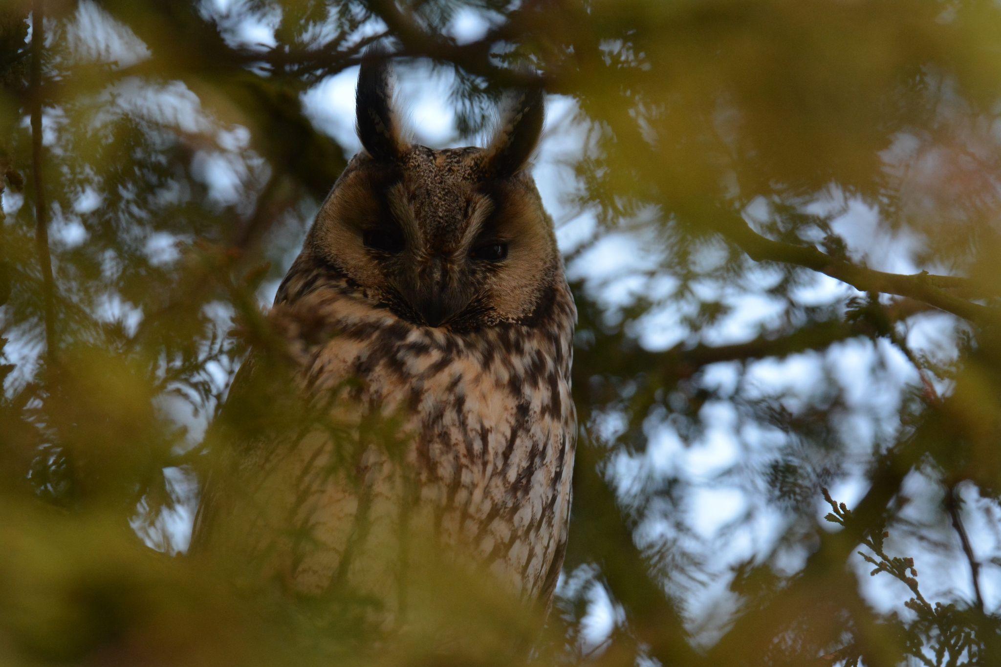 fot. Marcin Urbański 