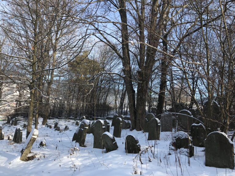 Łabowa, cmentarz żydowski (zima 2022 r.)
