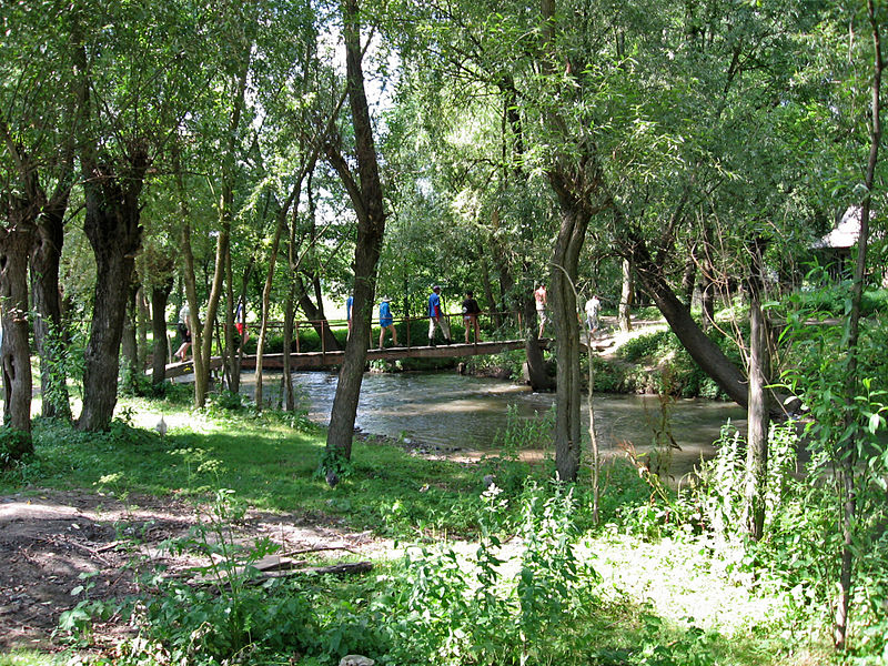 Park Koropiecki (fot. Topilin/Wikipedia)