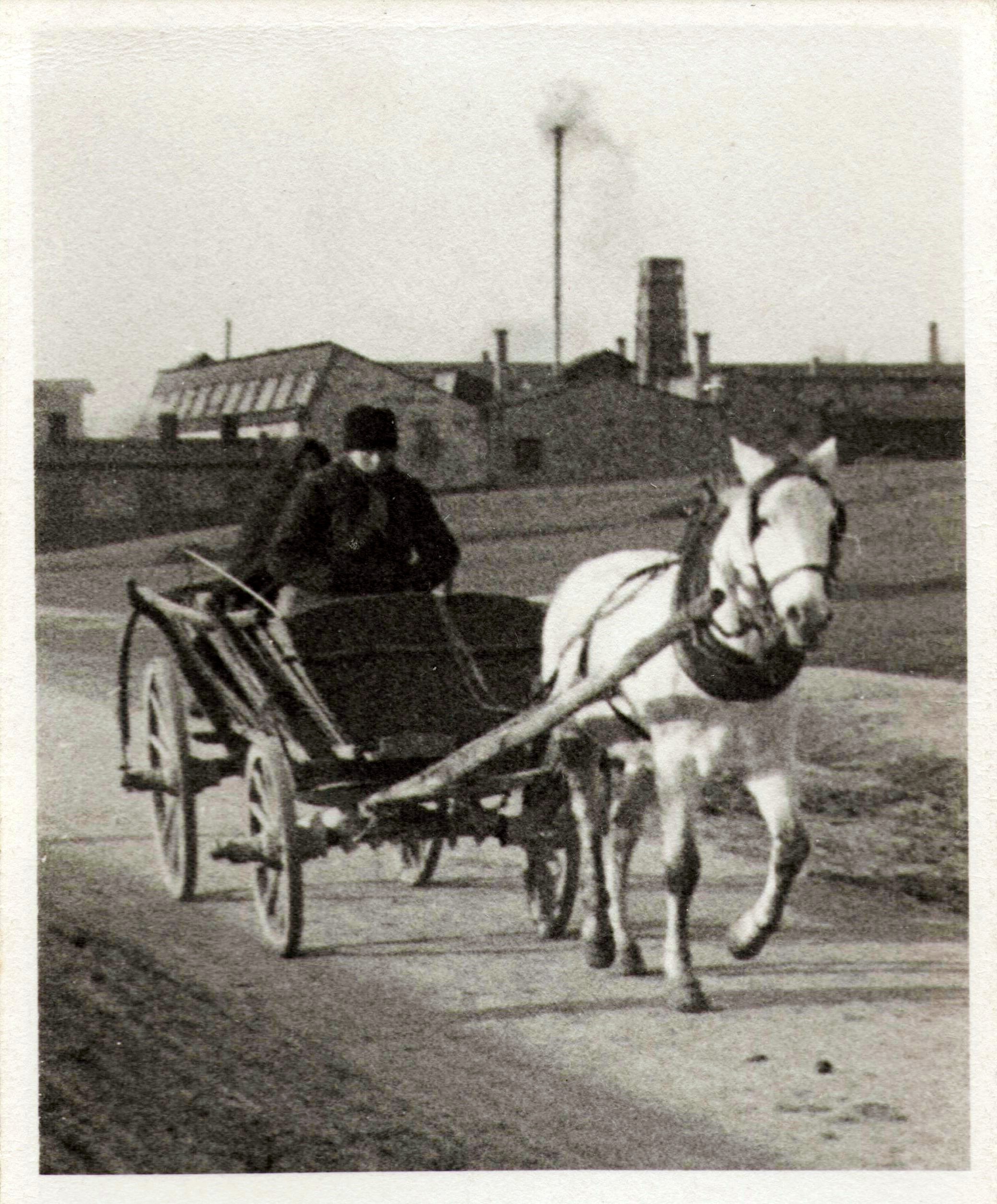 fot. ze zbiorów M.Piotrowskiego
