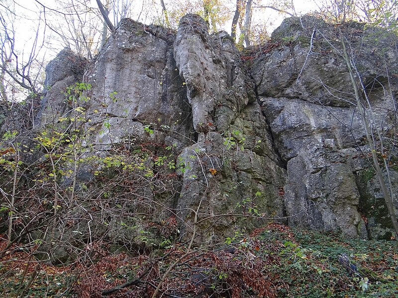 Panieńskie Skały (fot.Jerzy Opioła/Wikiepda)