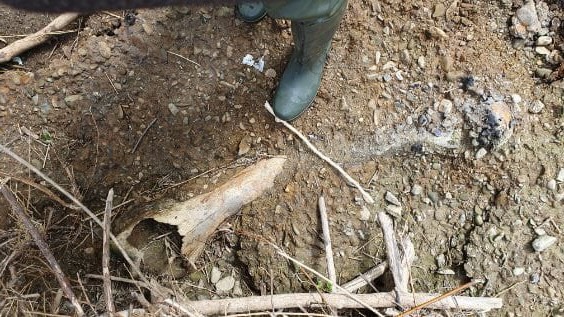 Fot. Tomasz Rosa / źródło: małopolska policja