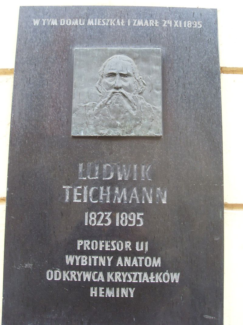 Tablica pamiątkowa ku czci L. Teichmanna na kamienicy przy ul. Floriańskiej 53 w Krakowie (fot. Miezian/Wikipedia)