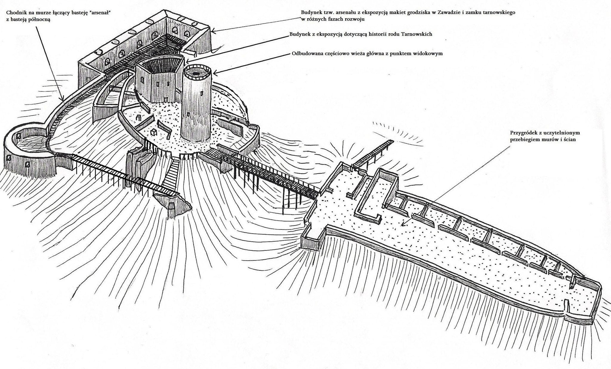 źródło: Krzysztof Moskal 