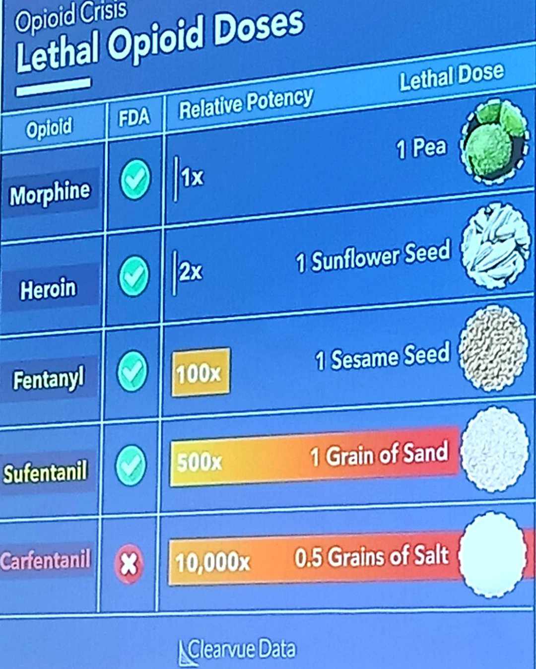 Działanie porównawcze substancji opioidowych, prezentacja prof.  Jolanty Zawilskiej,  Zakład Farmakodynamiki, Uniwersytet Medyczny w Łodzi  fot. materiały prasowe 