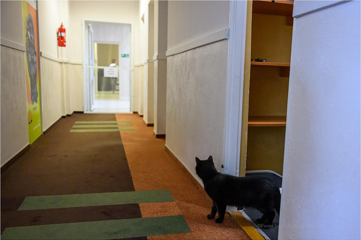 fot: Paweł Topolski