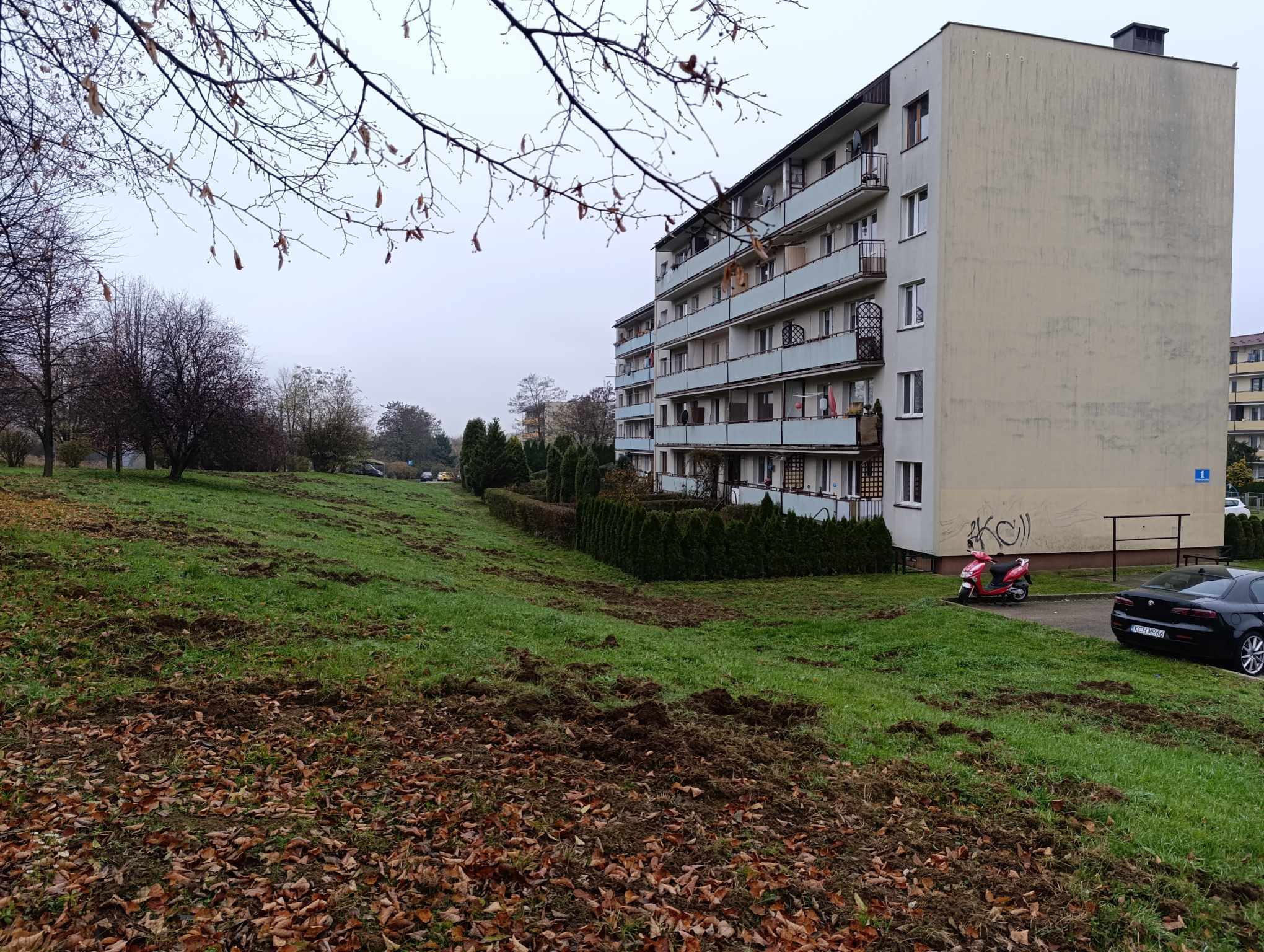 Osiedle Młodości. / fot: Natalia Feluś