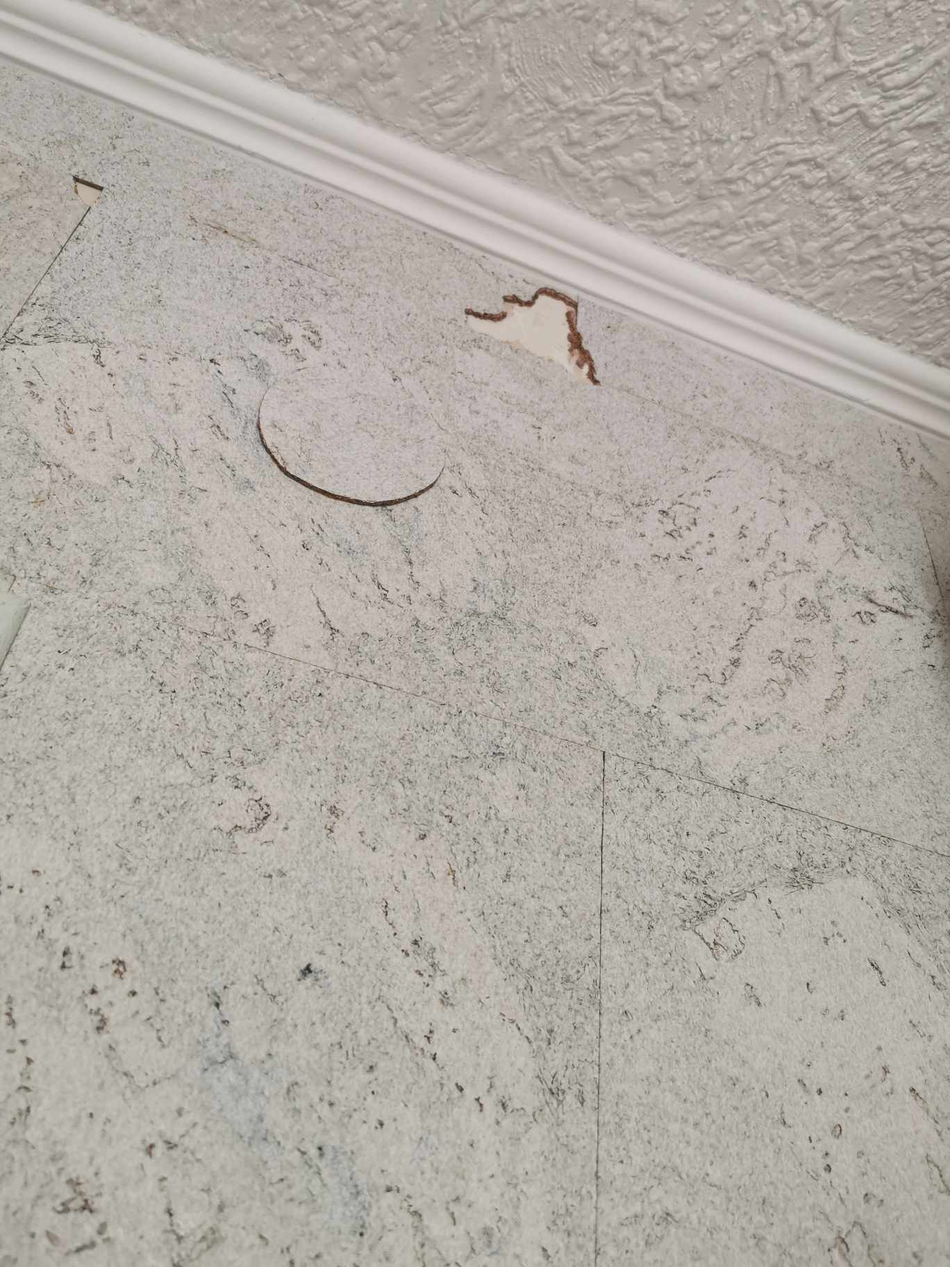 fot: Agnieszka Wrońska