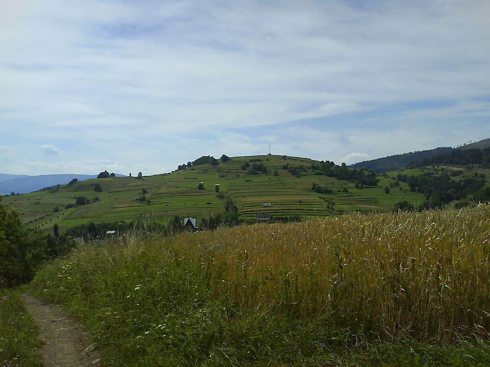 (fot.Kokorik1/Wikipedia)
