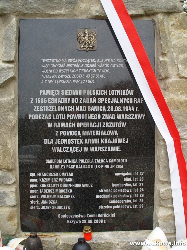 (fot. Aleksander Gucwa)