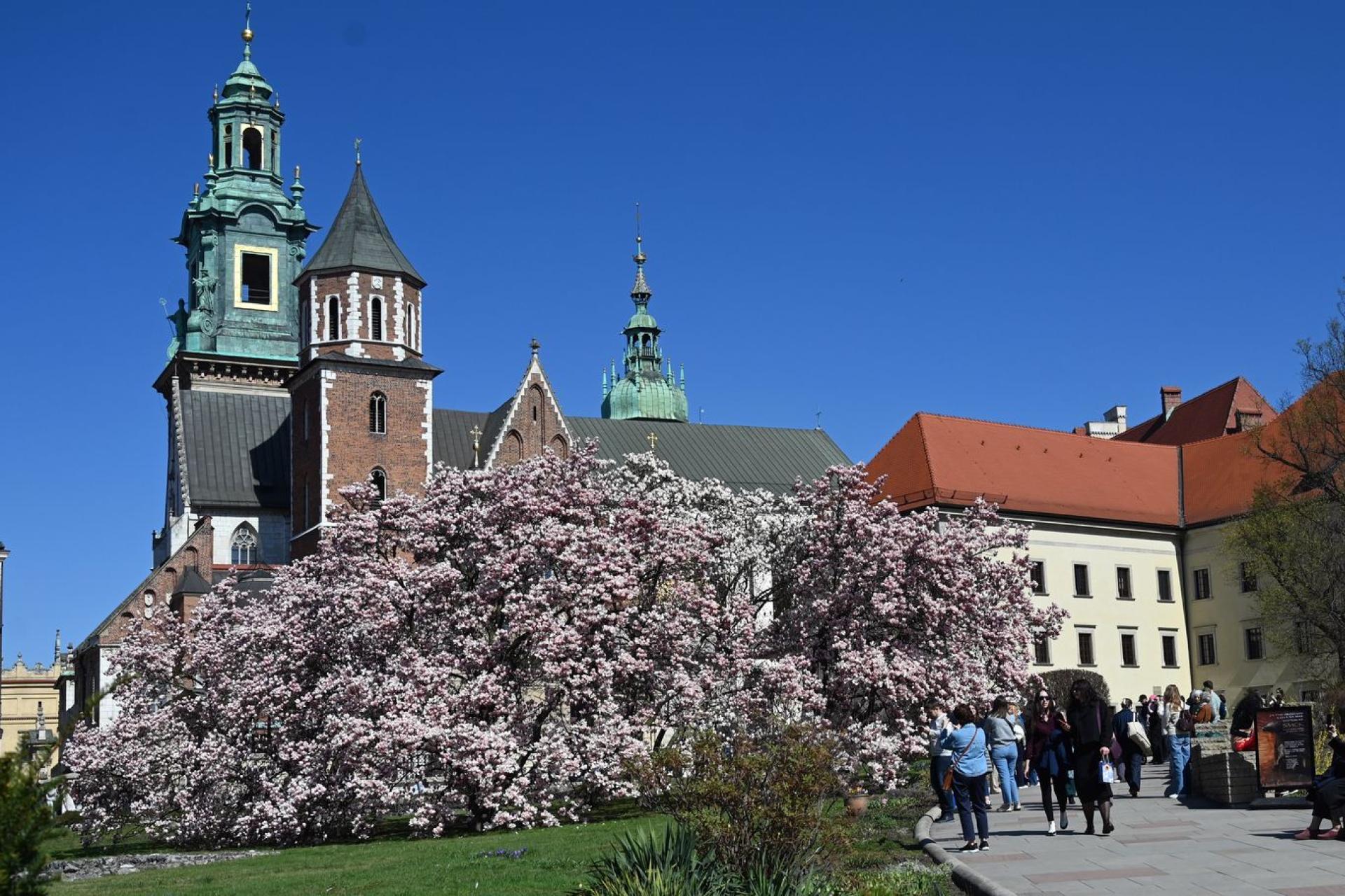 Ciepły, słoneczny czwartek, możliwy przelotny deszcz