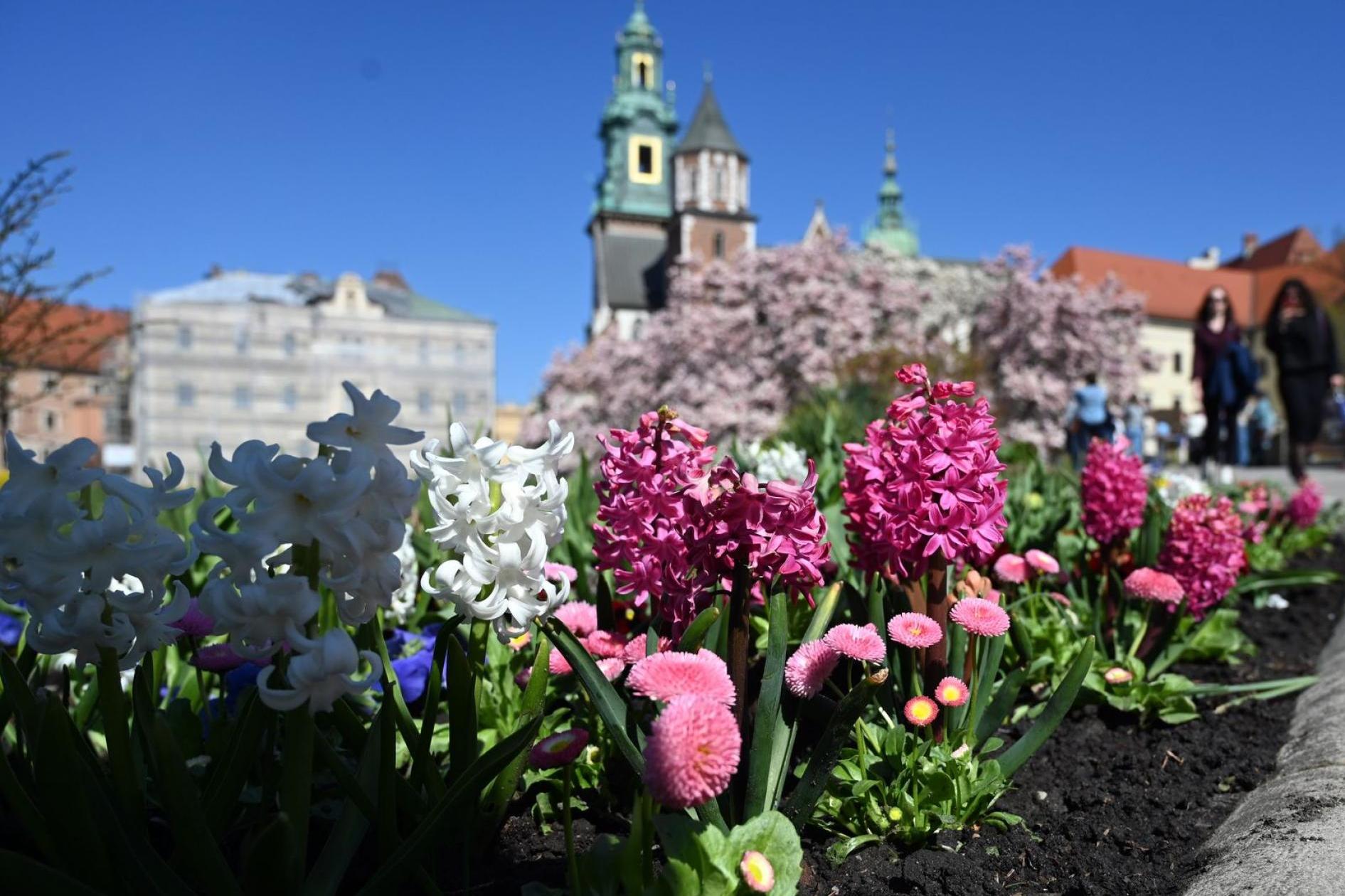 Słoneczny i ciepły piątek w Małopolsce - idealna pogoda na spacery