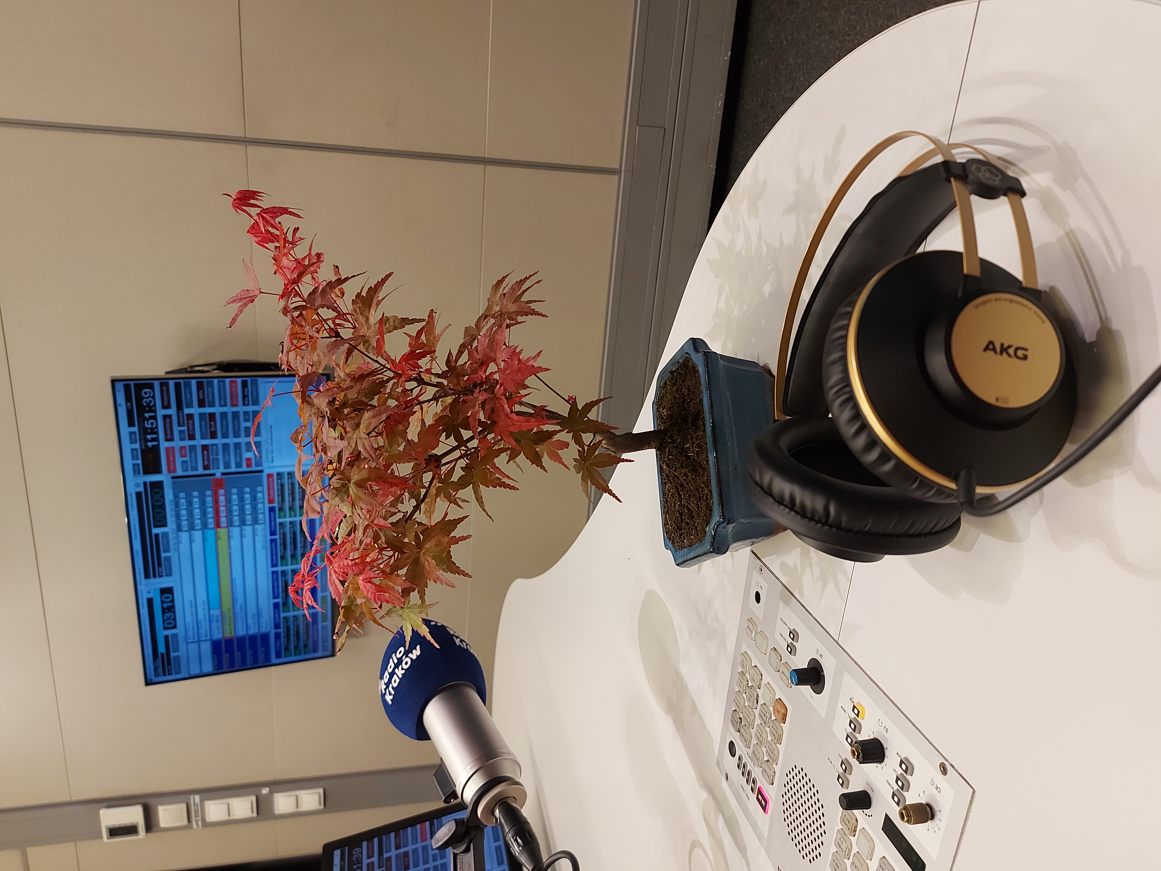 Fot. Sylwia Paszkowska