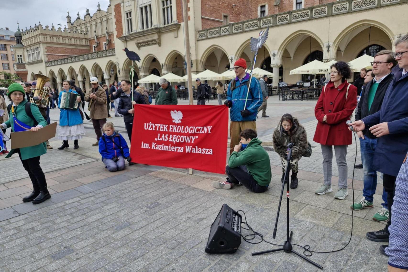 Aktywiści i ekolodzy walczą o lepszą ochronę krakowskiego lasu łęgowego