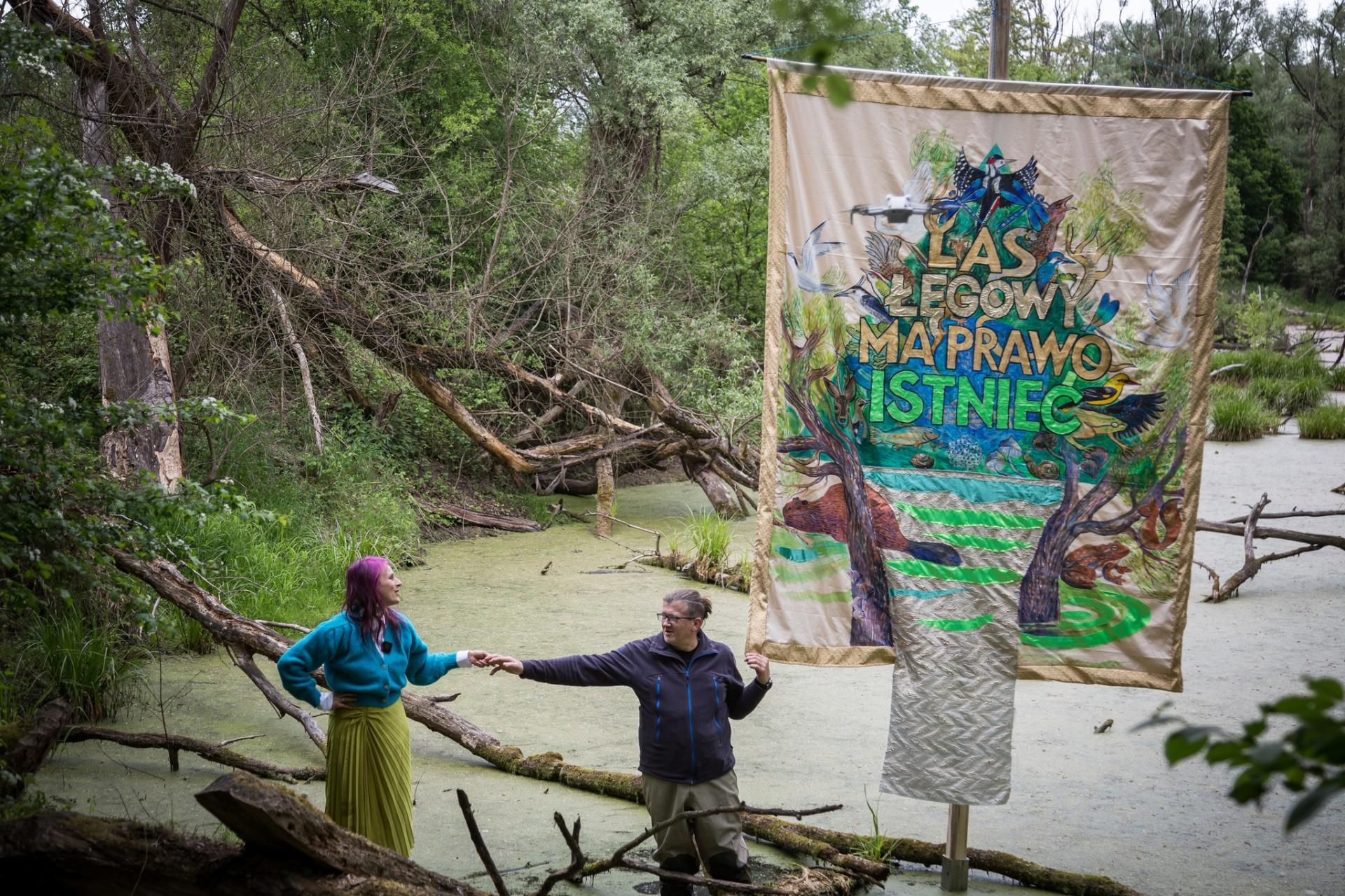 Sztuka i aktywizm dla Lasu Łęgowego w Przegorzałach