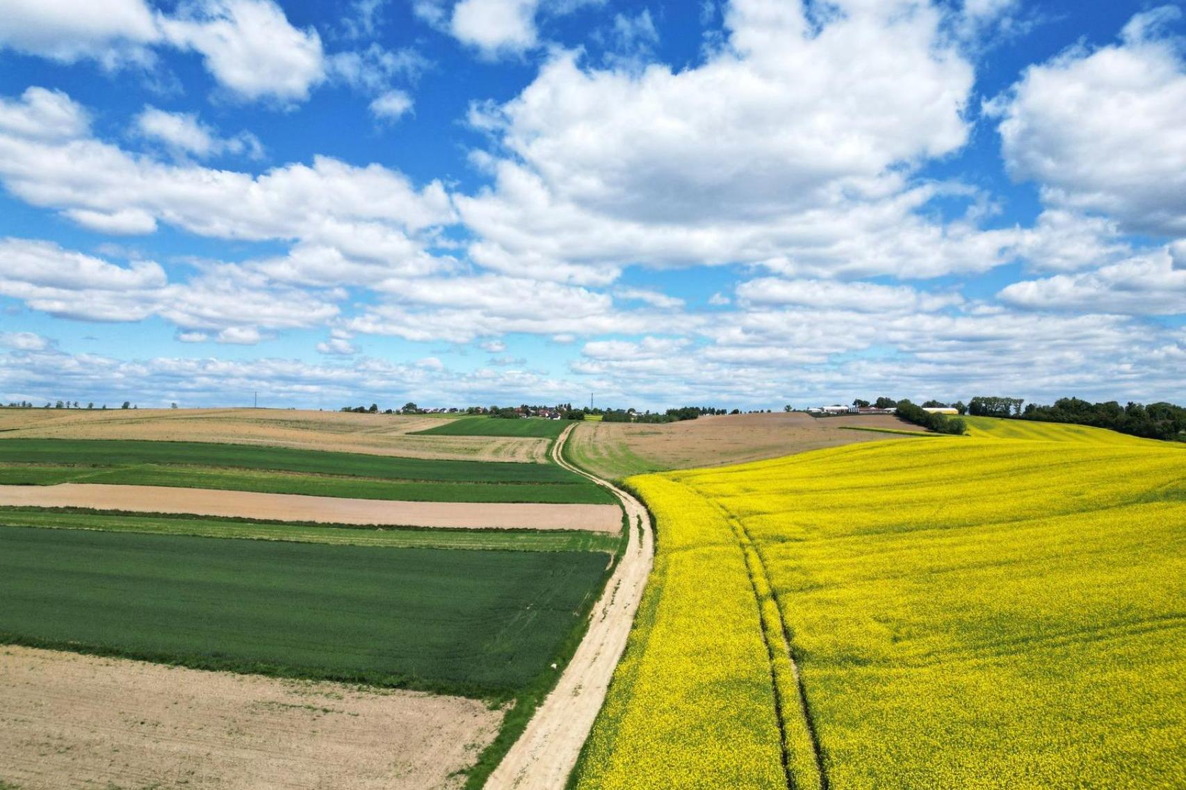 Przelotne opady deszczu, ale i przejaśnienia. Prognoza na sobotę