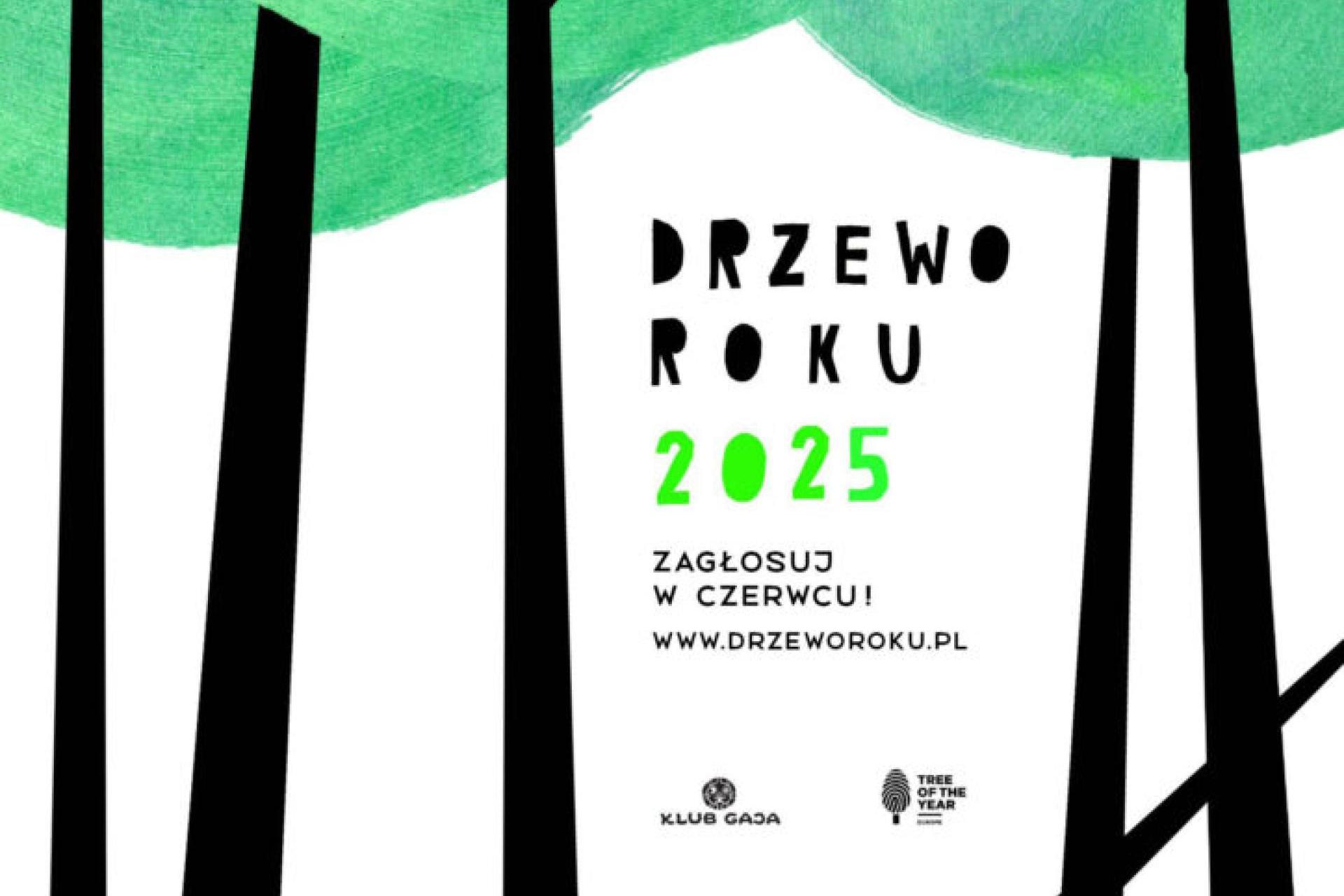 Ruszył internetowy plebiscyt Drzewo Roku. Małopolskę reprezentuje romantyczny buk czerwony
