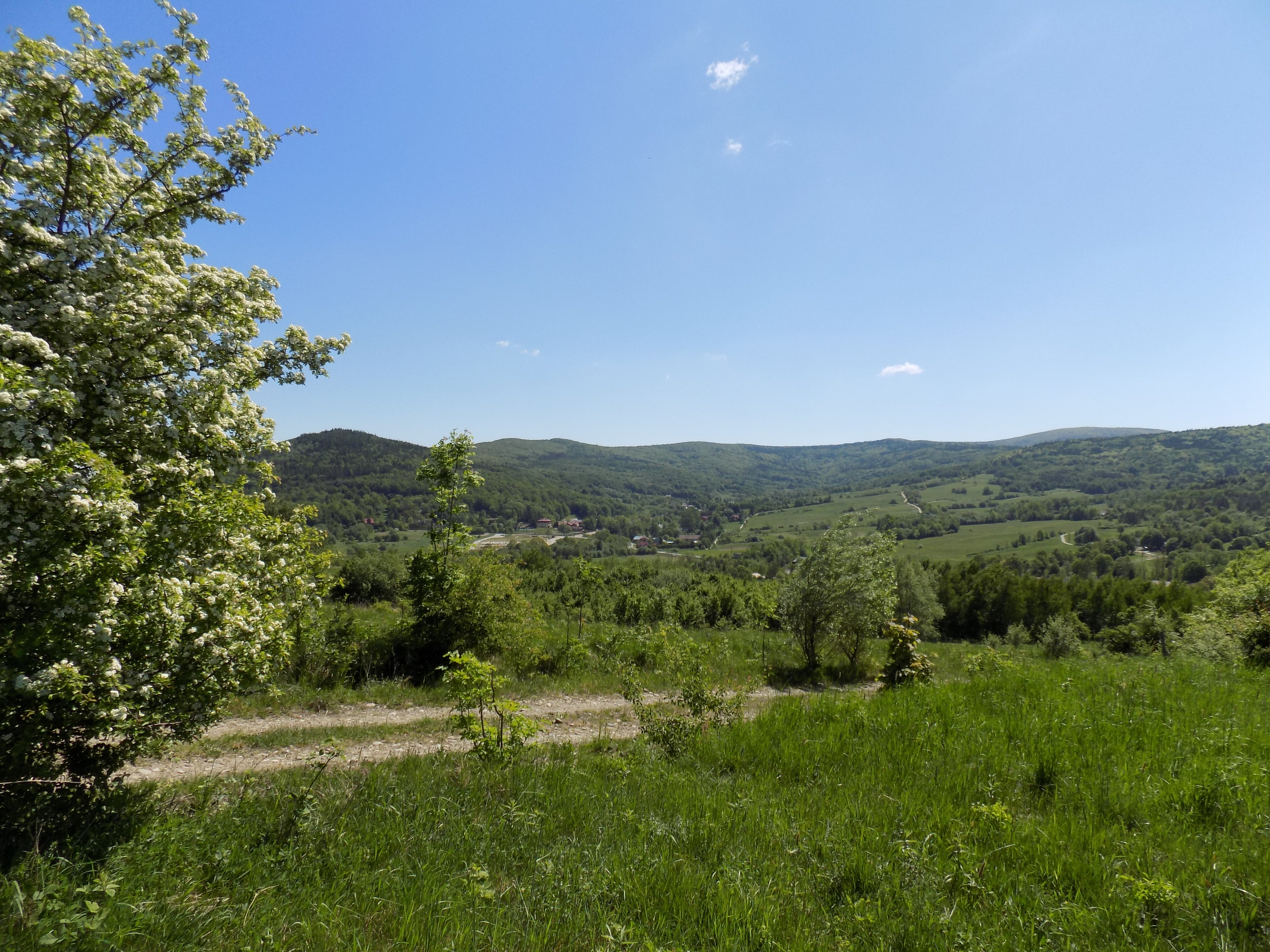 Wapienne (fot. ANDRZEJ PIECUCH)