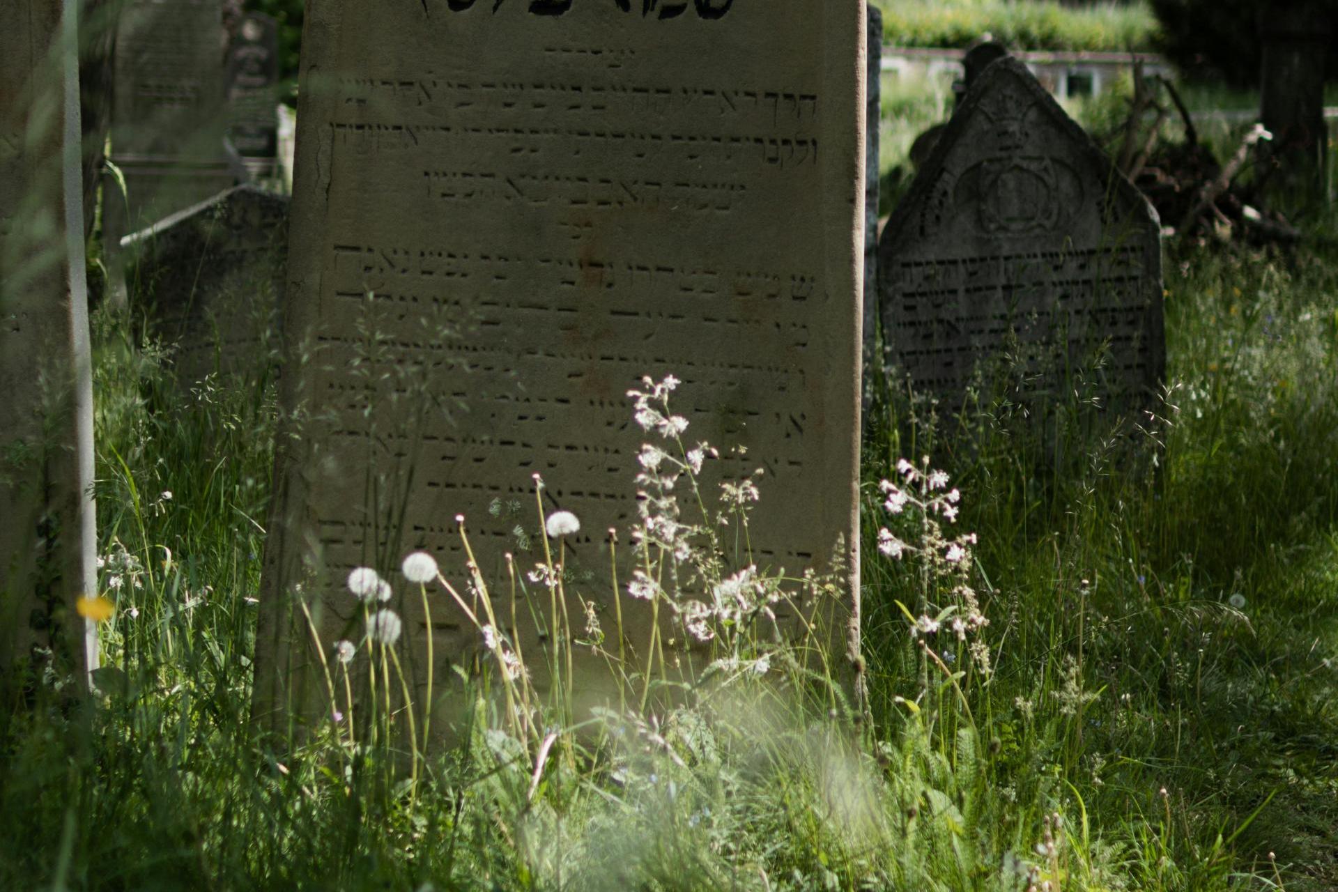 Największy żydowski cmentarz w Polsce czeka na remont. To mogiła w lesie Buczyna pod Tarnowem