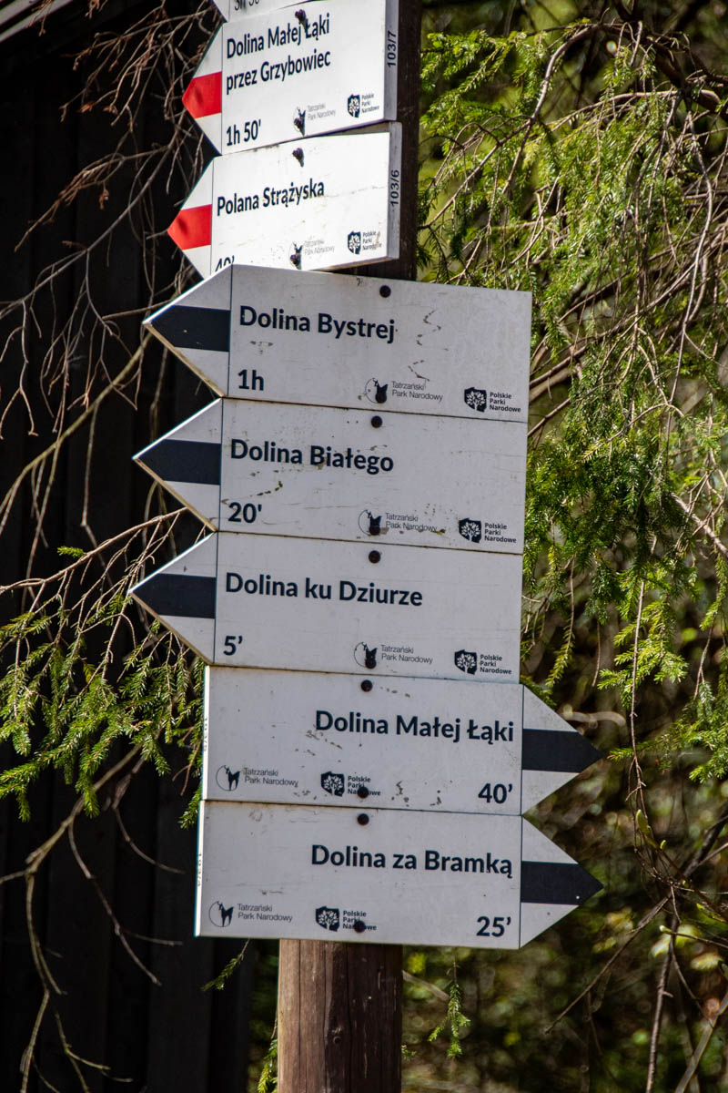 Fot. Regina Korczak Watycha