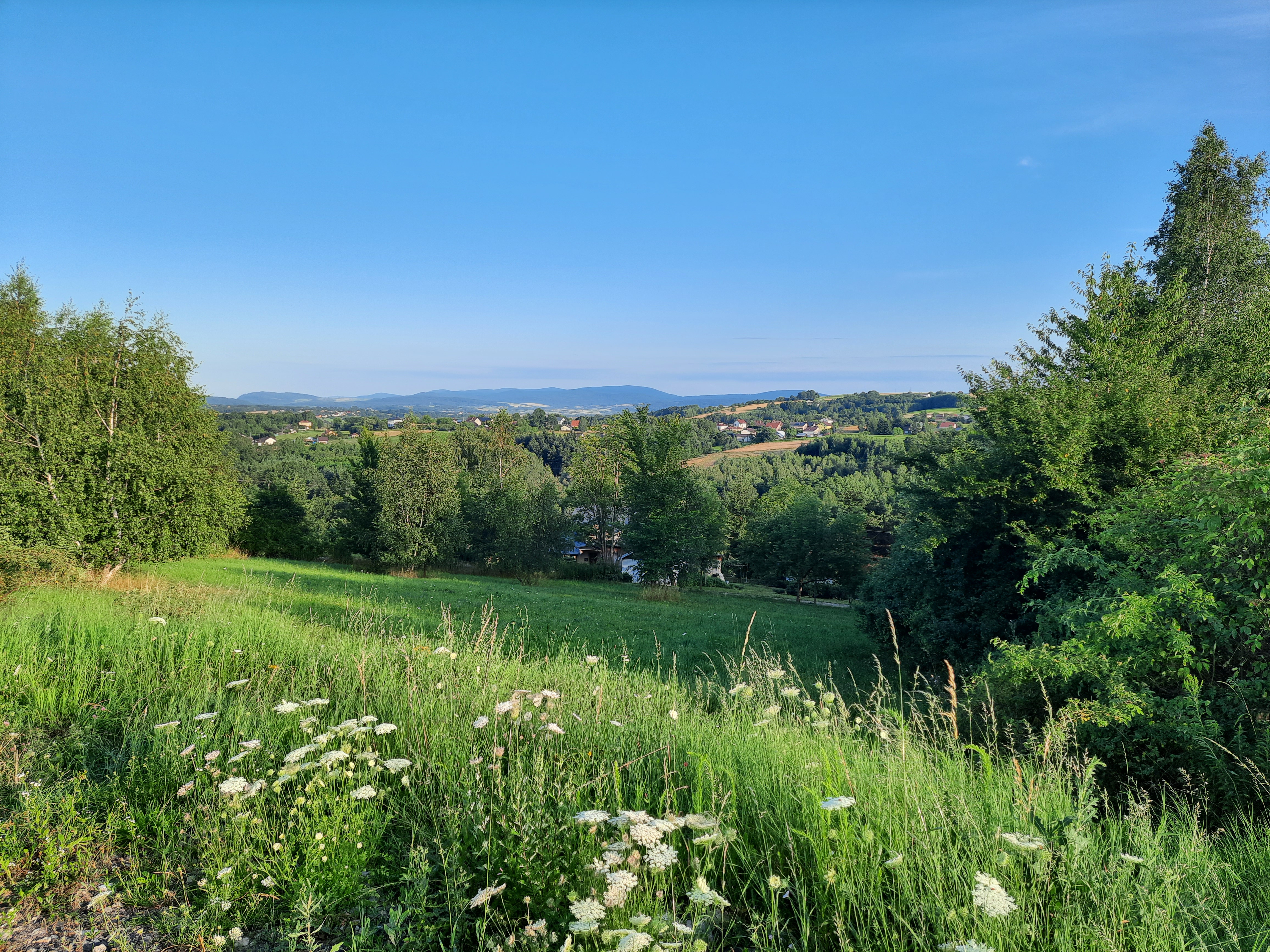 Strzeszyn, widok ze Ścibiórki  (fot. Krzysztof Dziki)