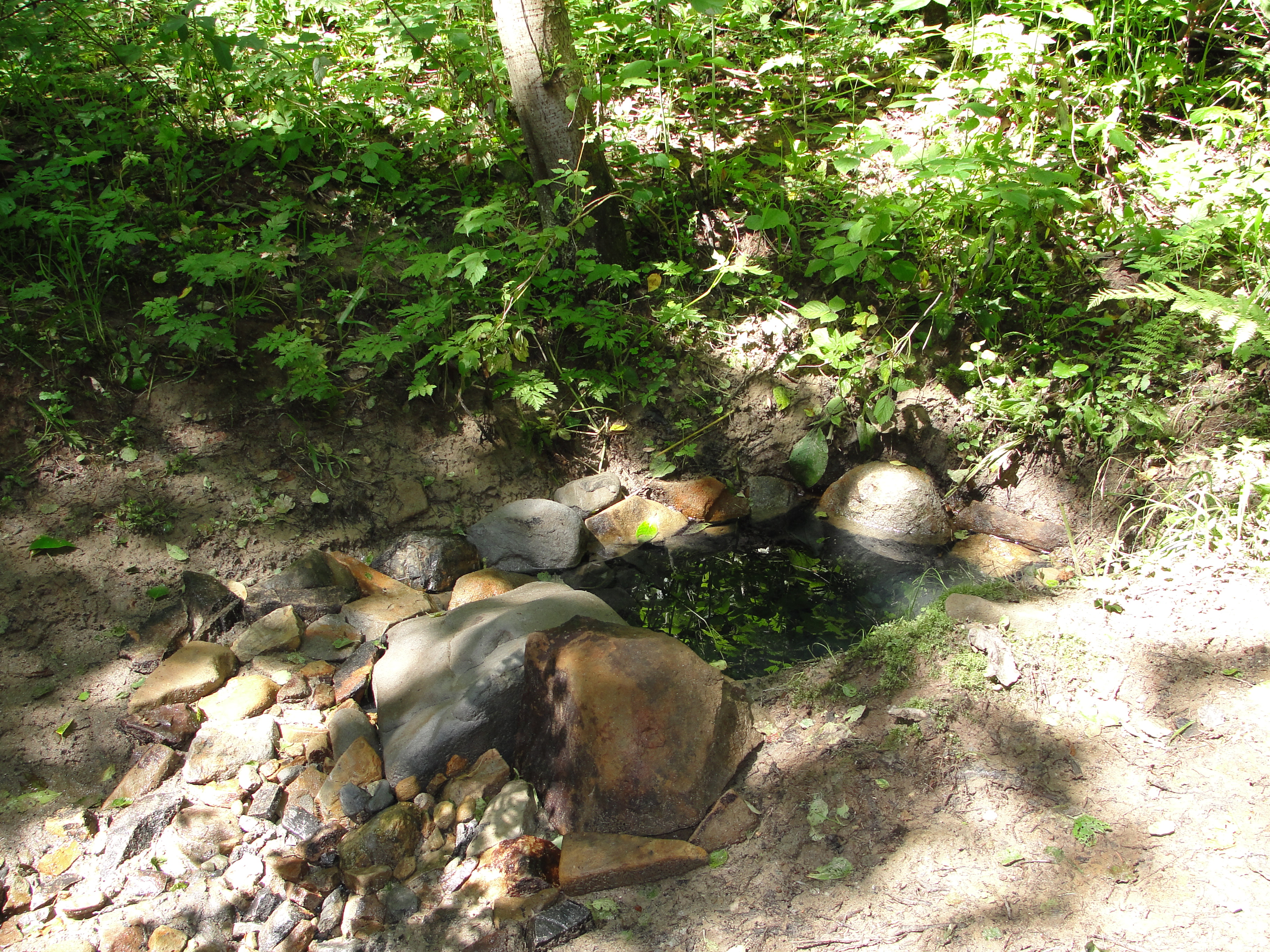 (fot. Krzysztof Dziki)