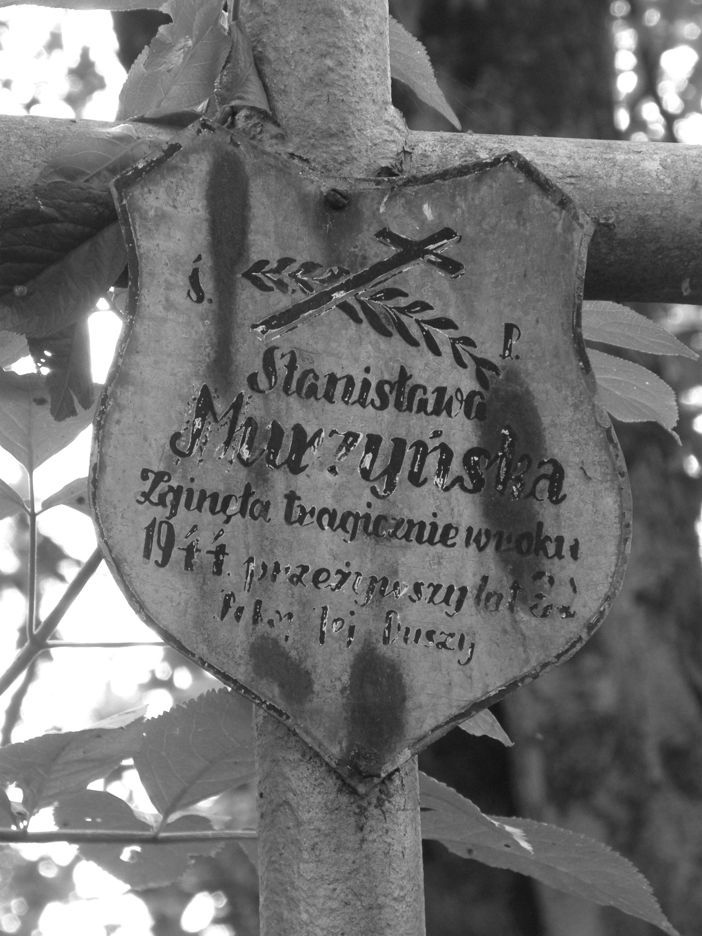 Tabliczka na krzyżu Polki spod Drohobycza zamordowanej w 1944 r. / fot . D. K. Markowski