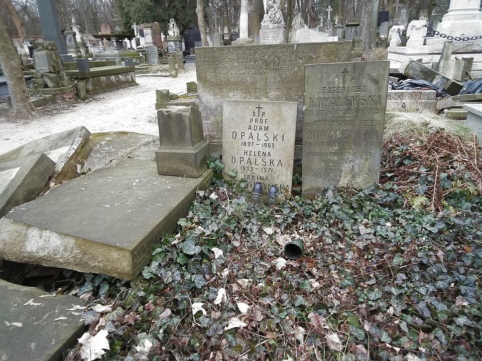 Grób prof. Opalskiego na warszawskich Powązkach (fot. Lukasz2/Wikipedia)