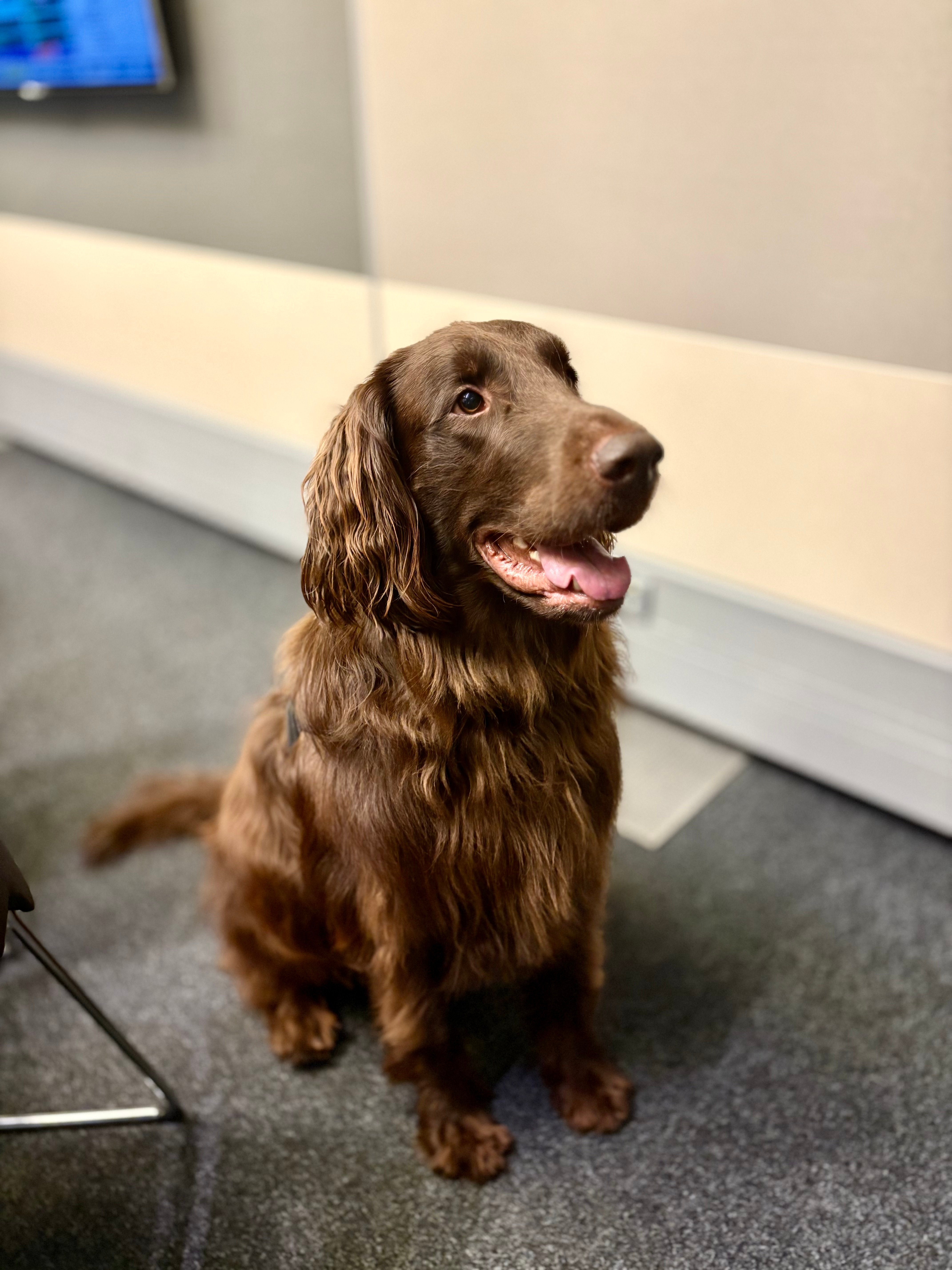 Benio/fot. Sylwia Paszkowska