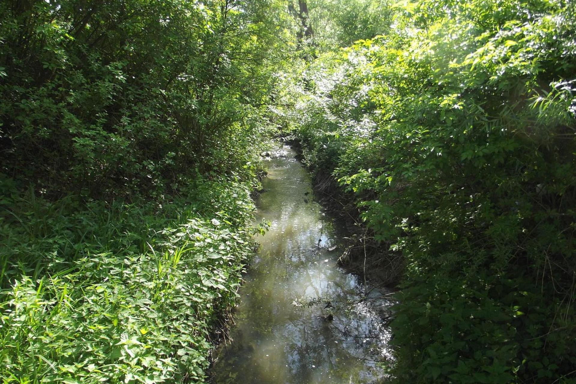 Lotnisko Kraków Airport ogłosiło przetarg na przełożenie przebiegu potoku Olszanickiego