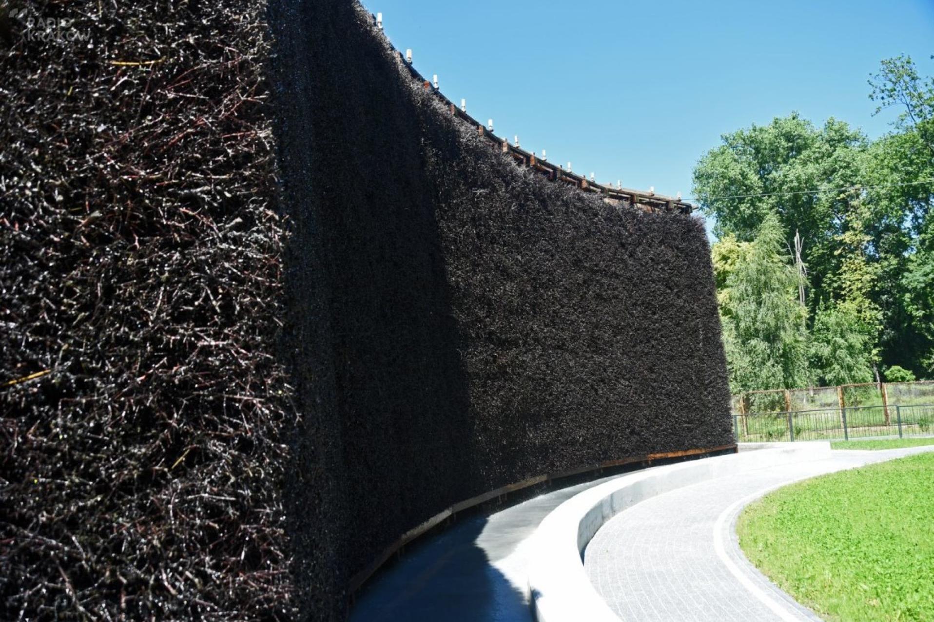 Bakterie kałowe w krakowskich tężniach. Naukowczyni: "Te solanki nas nie uzdrowią. Brakuje tu nadzoru"