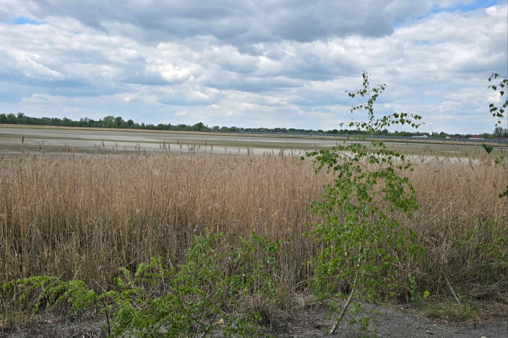 Mieszkańcy Zaborza koło Oświęcimia alarmują: Stawy Adolfińskie wysychają!