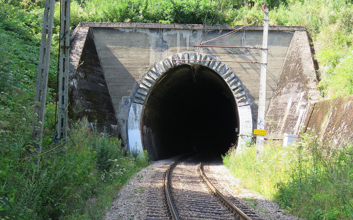 (fot. Andrzej Błaszczak/Wikipedia)