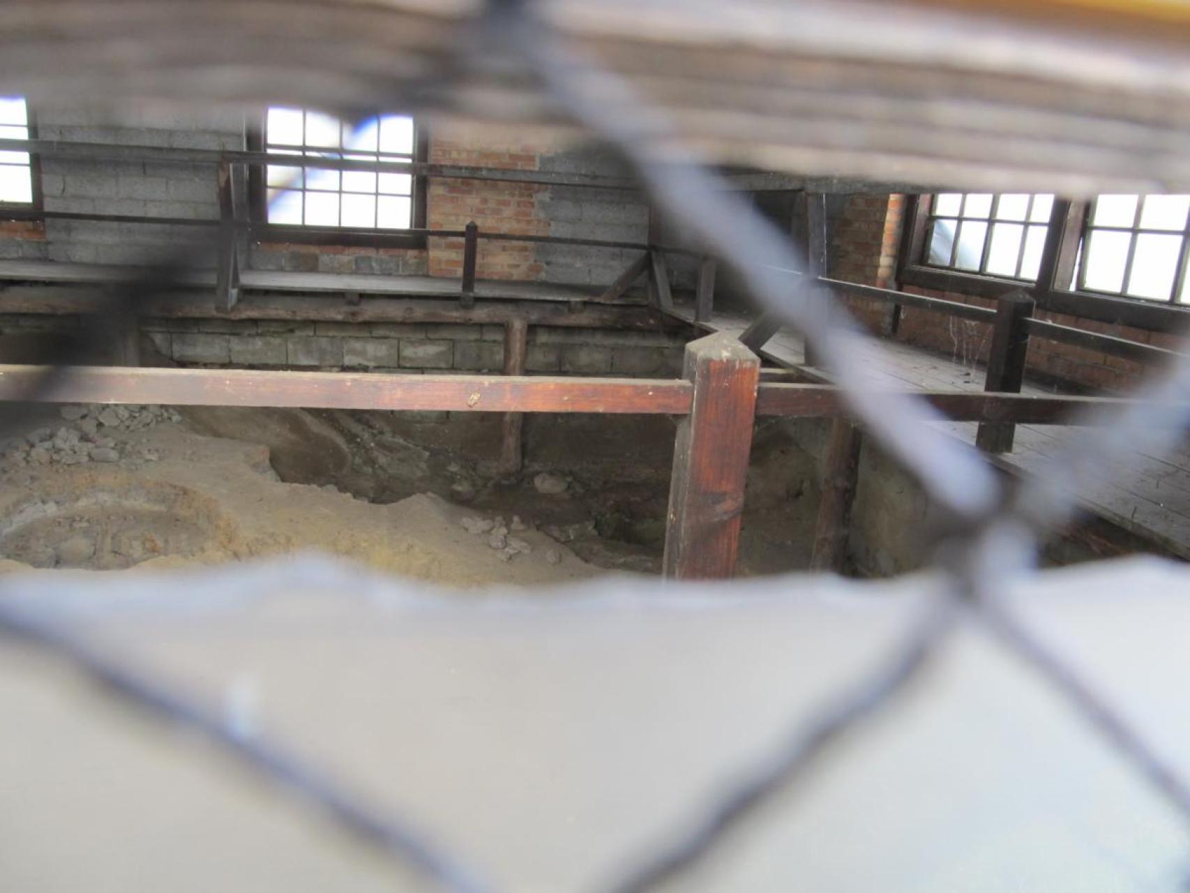 "W kręgu nauki" Audycja z dn. 23.08. 2025 r.