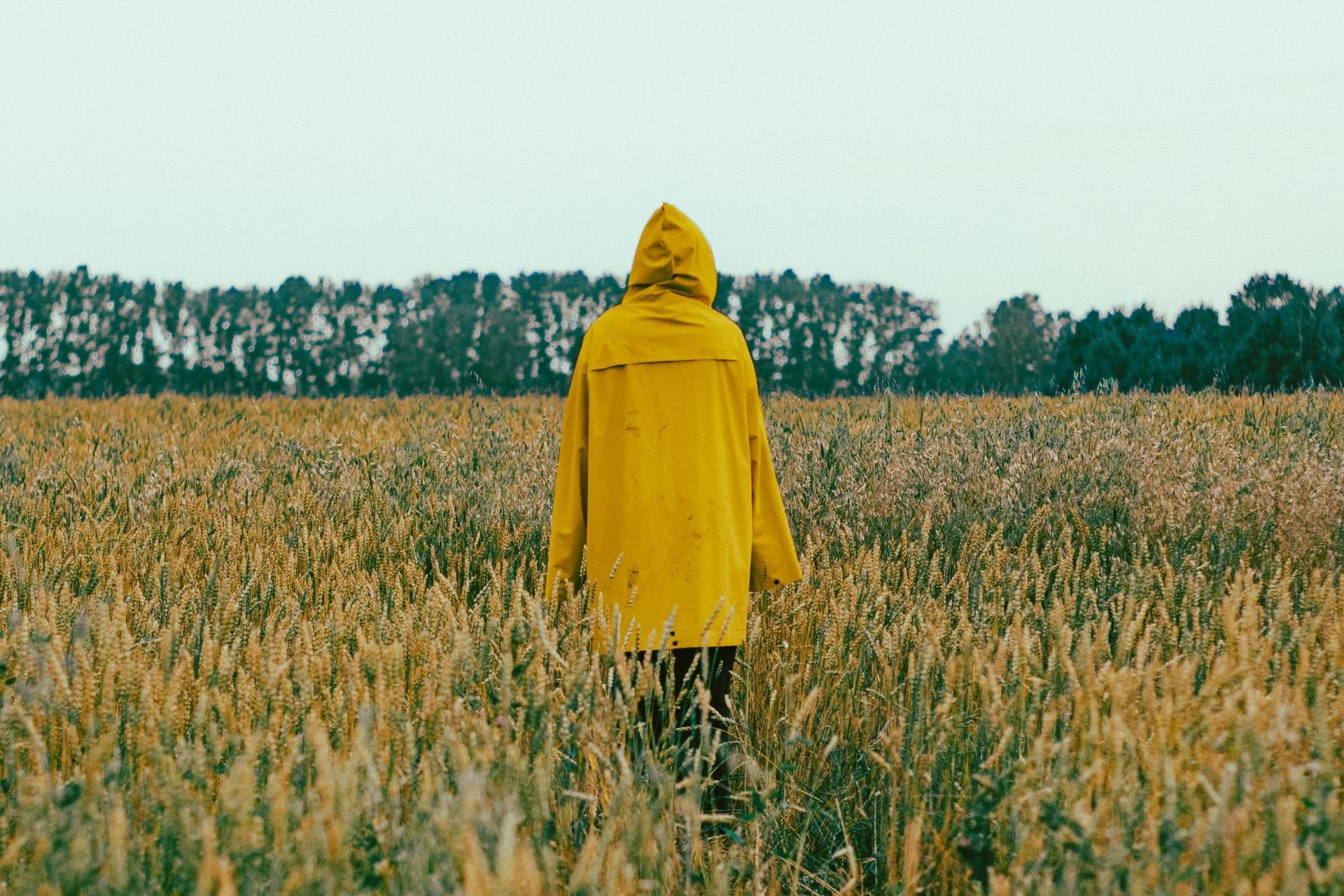 Pomoc psychologa bez zgody rodziców? Ekspertka: "To mogło uratować życie"