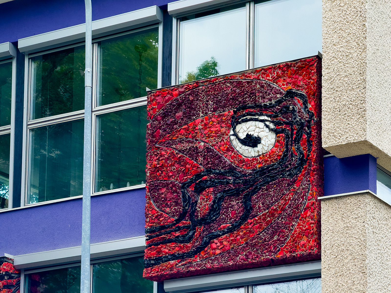 fot: Paweł Topolski