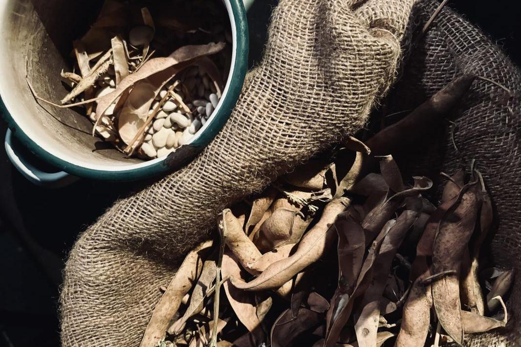 "Człowiek powinien żyć tylko tyle, na ile pozwala mu pamięć". "Traktat o łuskaniu fasoli" w Teatrze Witkacego przez cały czas zachwyca