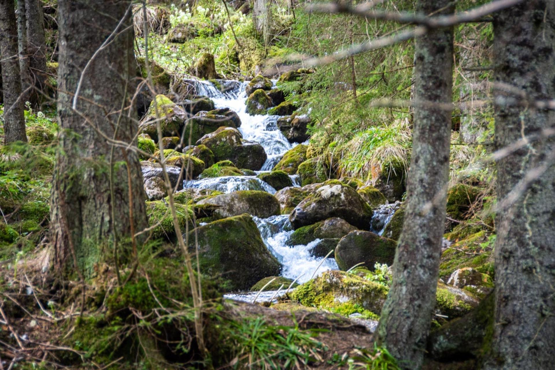 Tatry to nie tylko Giewont, Rysy i Morskie Oko. Da się znaleźć miejsca bez turystów