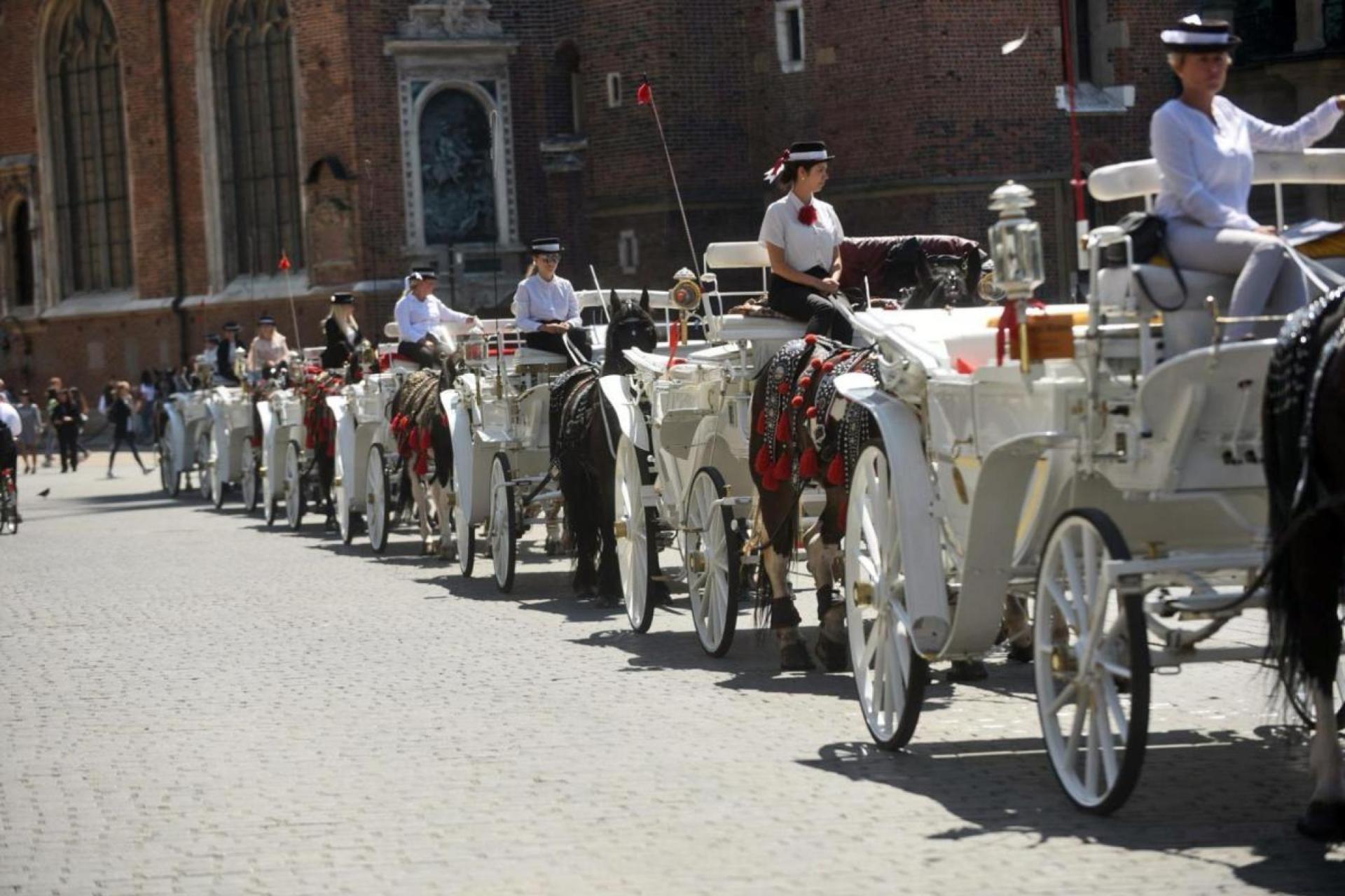 Idą upały w Krakowie. Trzy dni bez dorożek