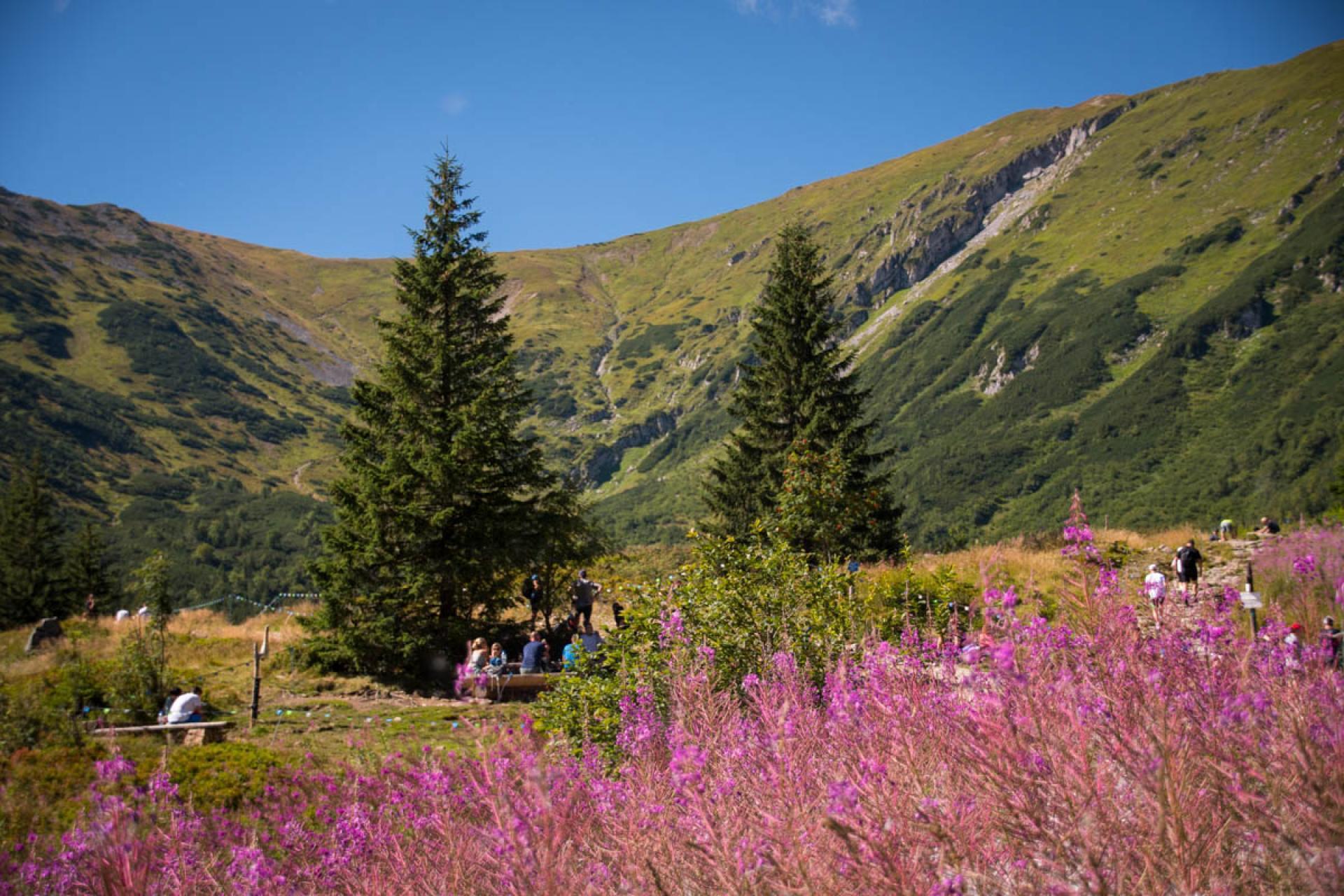 Obłożenie ponad 100%, nieoczekiwany hit i wypadki. Jaki był długi weekend pod Tatrami?