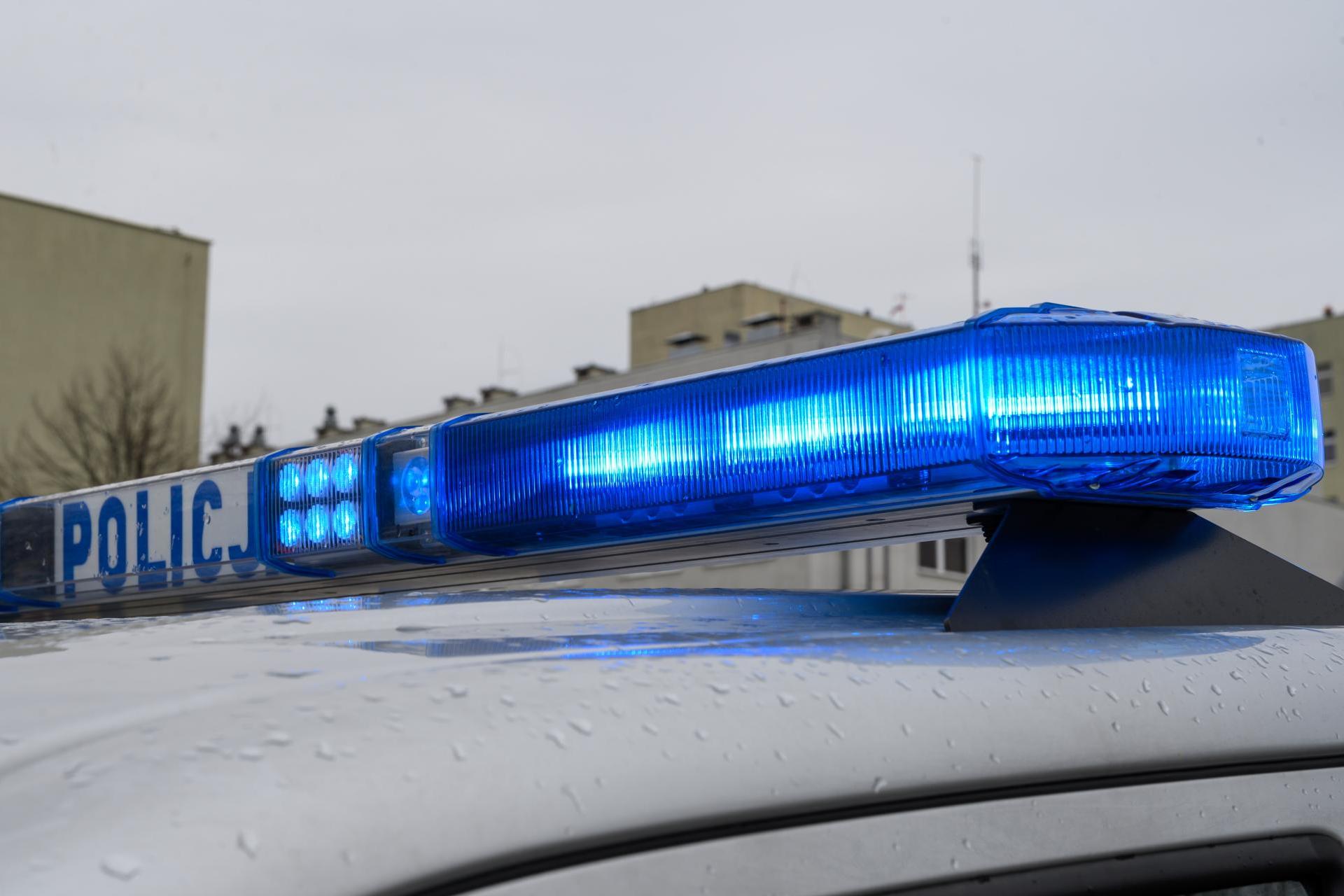 Miesiąc od śmierci psa w samochodzie. Tarnowska policja przez cały czas nikogo nie przesłuchała