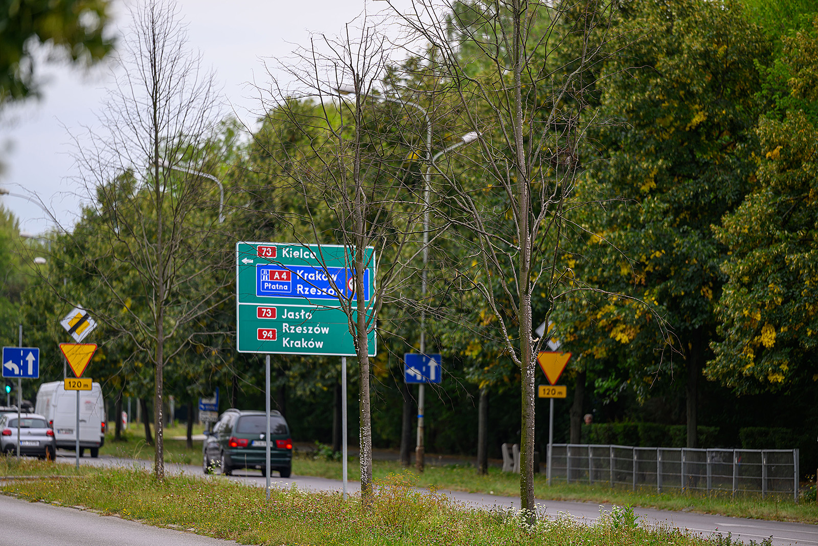 Fot. Paweł Topolski