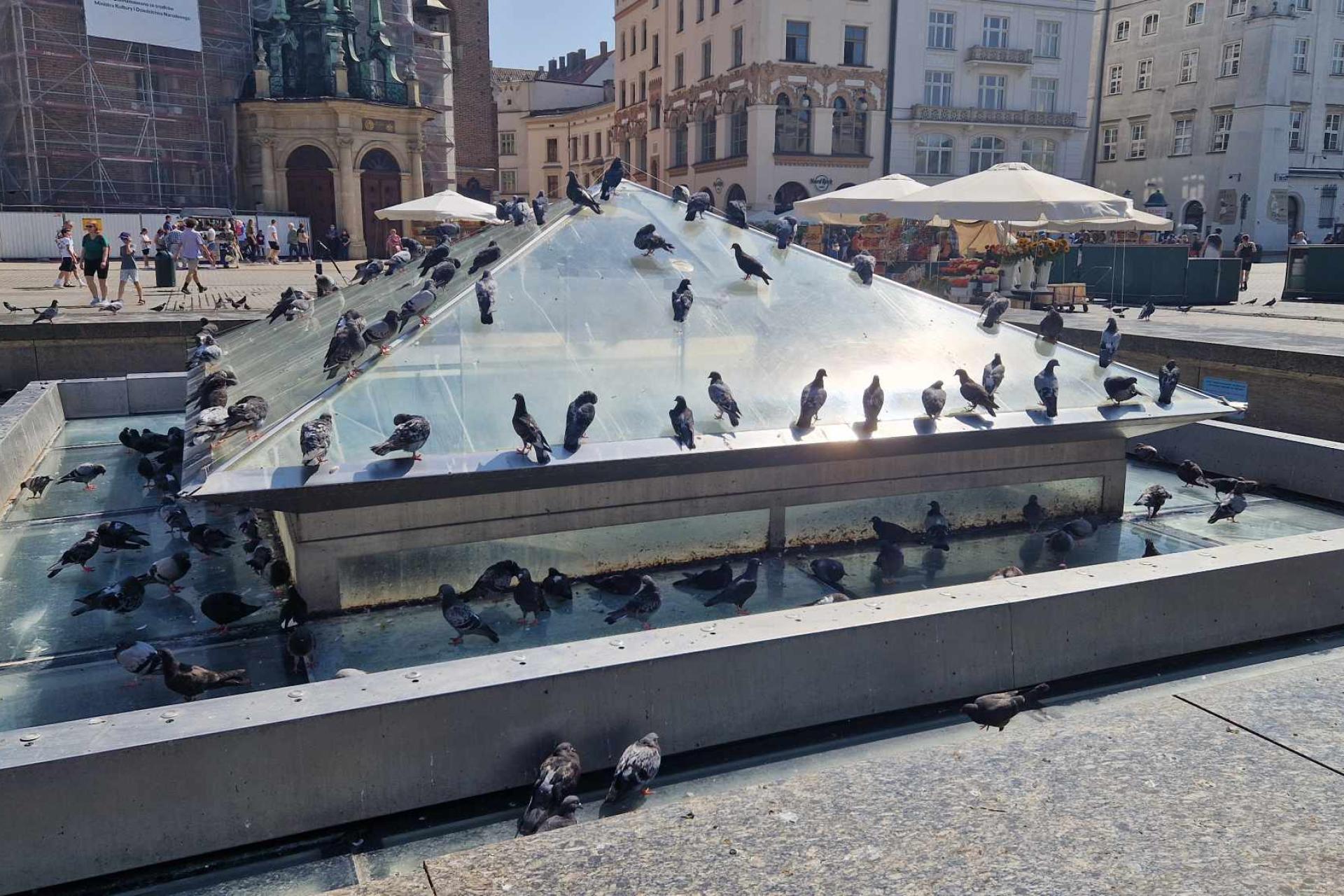 ?Kryształ? znika! Kraków wybiera nową fontannę